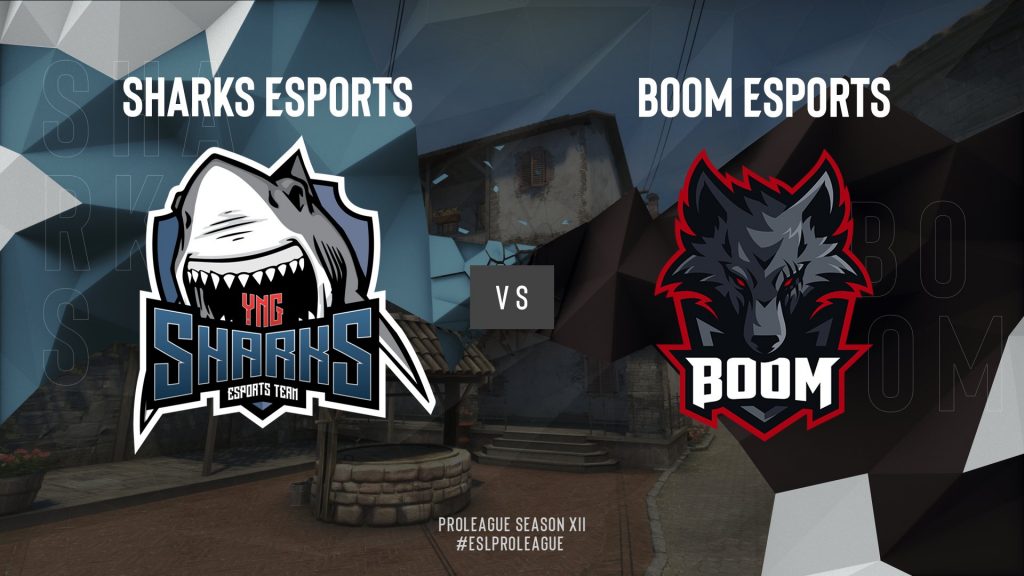 Sharks Vs Boom